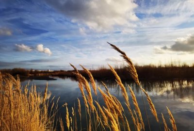 ​美丽新疆——伊宁掠影