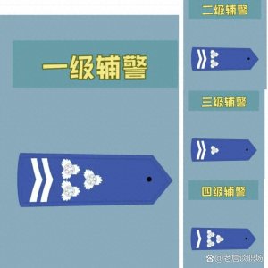 ​最新的辅警肩章标识，一起来看看！