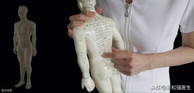 ​中医经络歌诀——足阳明胃经