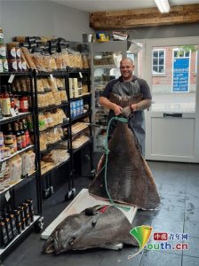 ​巨型比目鱼重达134公斤 长近3米好似异形