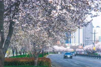 ​河南省洛阳市是河南省第2大城市，拥有11所高校，实力强劲！