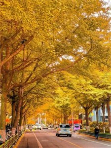 ​天水，穷而不乏的城市，惊艳无限！