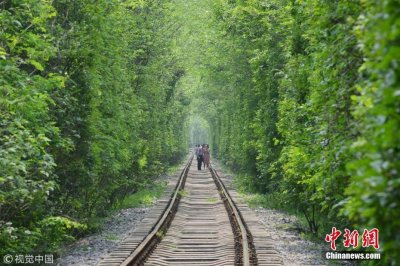 ​南京爱情隧道绿意再现 游客络绎不绝一睹芳容