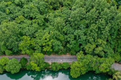 ​（社会）贵阳：夏日黄金大道景如画