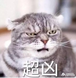 ​男子被猫抓伤没在意，数月后脑萎缩死亡……“吸猫人士”注意！猫咪也会传染狂