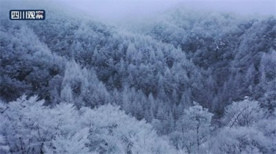 ​真的冷！四川这些地方下雪了