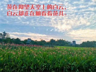 ​人生的五层境界，你在哪一层？