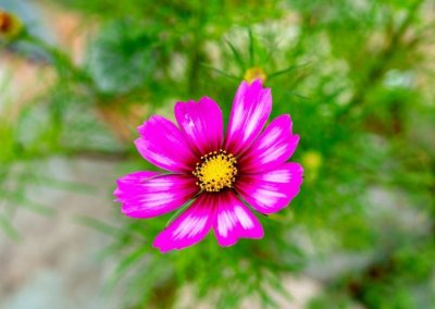 ​外强中干的人，大多数都有这三种弱点，一眼就能看穿