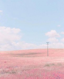 ​治愈系必备！极致简约小清新壁纸，让你的心灵得到放松！