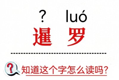 ​每天认识一种猫——暹罗猫