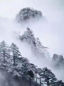 ​「散文」南方的雪