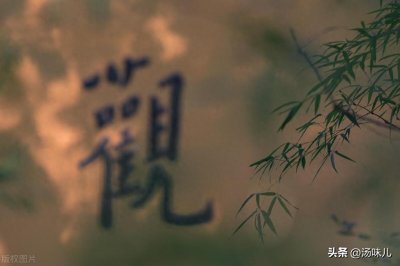 ​《论语》不惑之年再读 为政篇 子张学干禄，子曰：多闻阙疑，