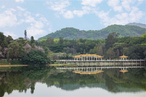 麓湖公园位于广州市越秀区,白云山风景名胜区南端