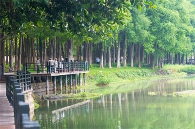 ​麓湖公园位于广州市越秀区，白云山风景名胜区南端