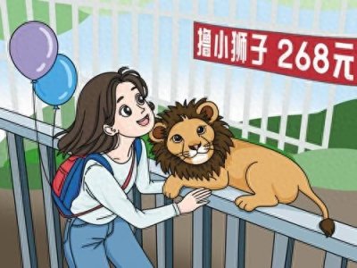 ​无画不说｜268元可撸狮子，背后藏安全隐患