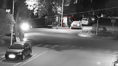 ​男子半夜偷多肉被行政拘留