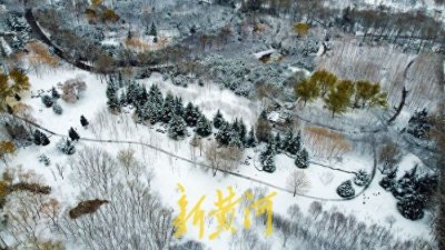​雪后的济南森林公园树影婆娑，俯瞰美如素描画