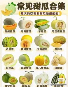 ​16种常见甜瓜，每种都水润清甜，口留唇香！