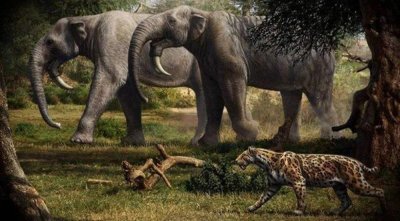 ​史前象科巨无霸——恐象，实力有多强？