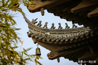 ​中华典故：拨云雾睹青天