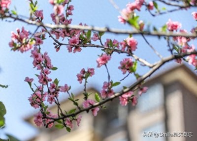 ​适合春天发的朋友圈文案