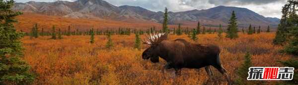 美国缅因州穷吗?美国缅因十大风土人情