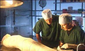 法老的咒语是真的存在吗?