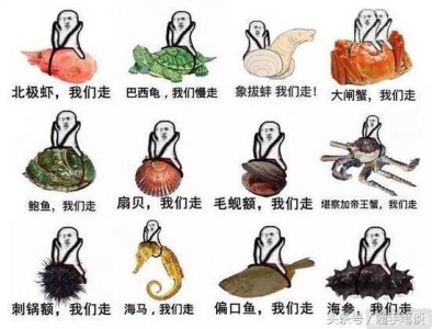 ​小智，pdd，大司马，究竟谁才是最强主播