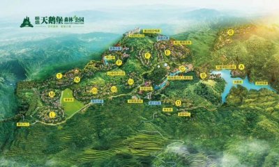 ​贵州赤水天鹅堡森林公园——避暑康养度假区