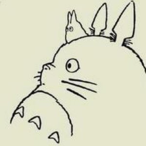 ​龙猫系列头像：你也喜欢宫崎骏的龙猫吗