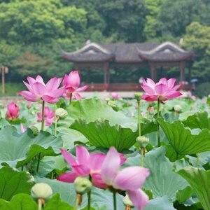 ​婚外情人怎么称呼男方（现在流行这3种称呼）