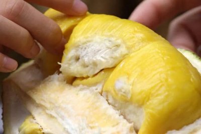 ​榴莲冷冻好吃还是冷藏好吃（介绍榴莲保存技巧）