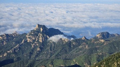 ​岱岳区综合行政执法局高铁站中队：为春运保驾护航