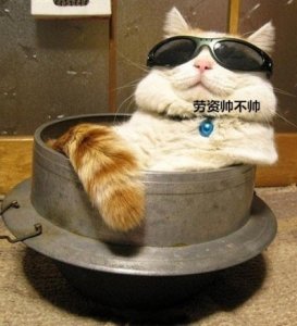 ​适合怼人的神短句