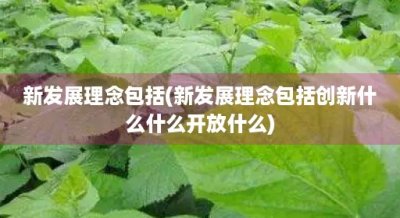 ​新发展理念包括(新发展理念包括创新什么什么开放什么)