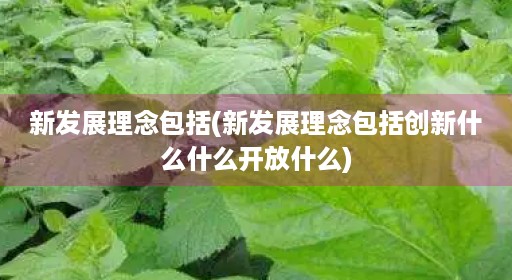 新发展理念包括(新发展理念包括创新什么什么开放什么) 新发展理念包括(新发展理念包括创新什么什么开放什么)