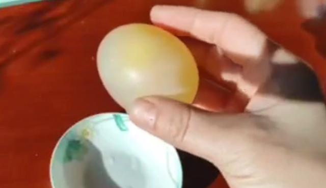 在家就能做的好玩又有趣的小实验（娃看呆了这7个易上手的）(25)