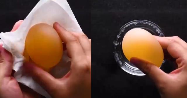 在家就能做的好玩又有趣的小实验（娃看呆了这7个易上手的）(23)