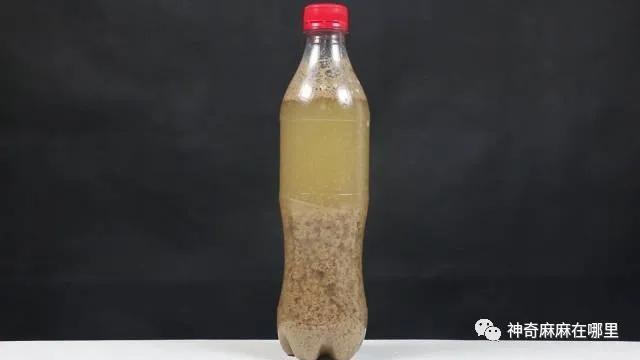 在家就能做的好玩又有趣的小实验（娃看呆了这7个易上手的）(43)