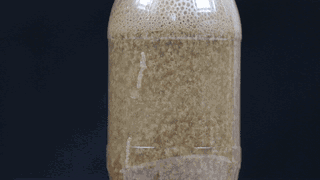 在家就能做的好玩又有趣的小实验（娃看呆了这7个易上手的）(41)