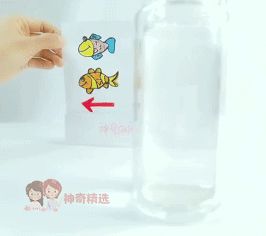 在家就能做的好玩又有趣的小实验（娃看呆了这7个易上手的）(3)