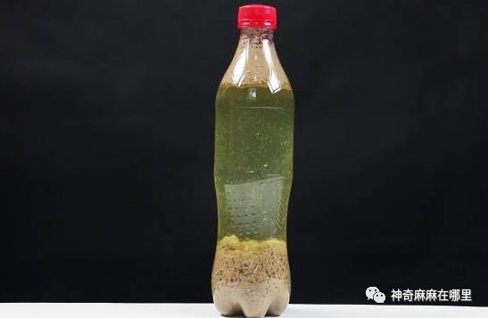 在家就能做的好玩又有趣的小实验（娃看呆了这7个易上手的）(45)