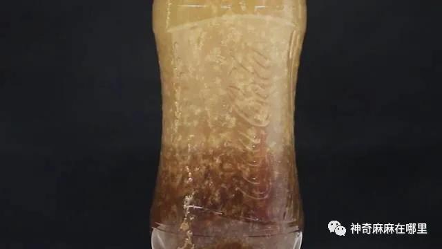 在家就能做的好玩又有趣的小实验（娃看呆了这7个易上手的）(42)