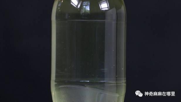 在家就能做的好玩又有趣的小实验（娃看呆了这7个易上手的）(47)