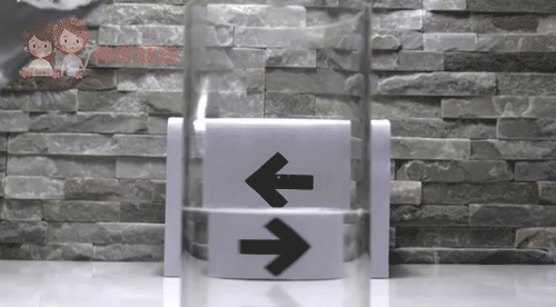 在家就能做的好玩又有趣的小实验（娃看呆了这7个易上手的）(7)