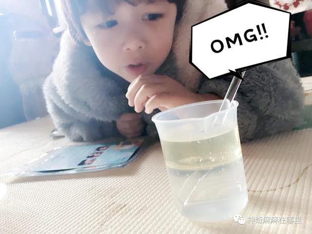 在家就能做的好玩又有趣的小实验（娃看呆了这7个易上手的）(2)