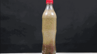 在家就能做的好玩又有趣的小实验（娃看呆了这7个易上手的）(48)