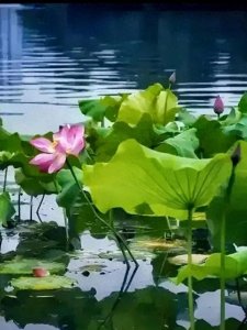 ​我的退休生活