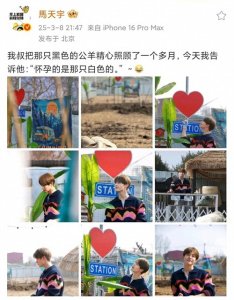 ​马天宇分享趣事，精心照料的公羊竟是“误会一场”？