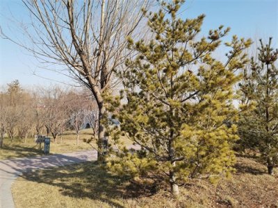 ​河北省新增的省级示范性高中，快来看看有没有你的学校